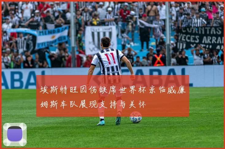 埃斯特旺因伤缺席世界杯亲临威廉姆斯车队展现支持与关怀