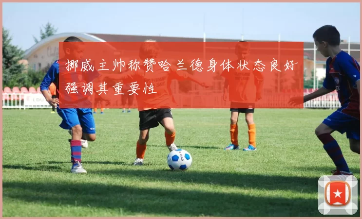 挪威主帅称赞哈兰德身体状态良好强调其重要性